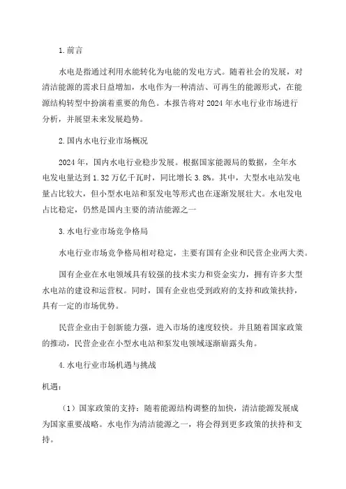 2024年水电行业市场分析报告
