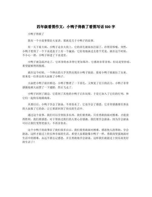 四年级看图作文：小鸭子得救了看图写话500字