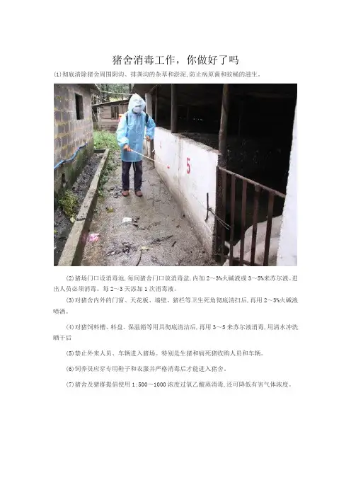 猪舍消毒工作,你做好了吗