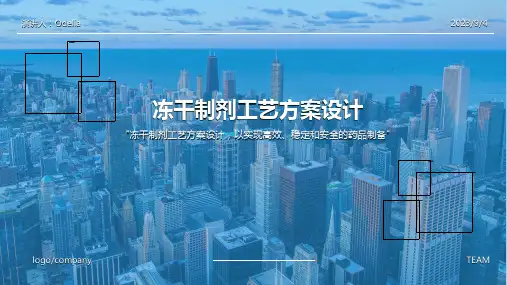 2023年冻干制剂工艺与车间设计方案方案模板 (2)