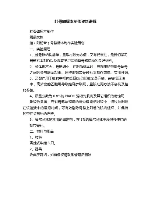 蛙骨骼标本制作资料讲解
