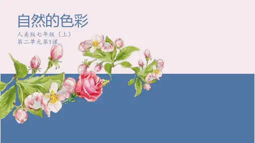新人美版七年级美术上册第二单元《自然的色彩》精品课件