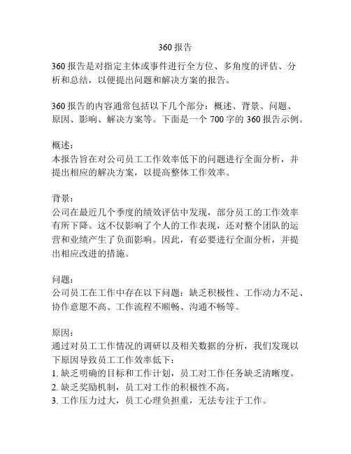 360报告