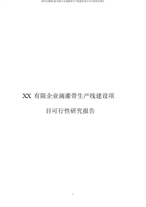 报审完整版XX有限公司滴灌带生产线建设项目可行性研究报告