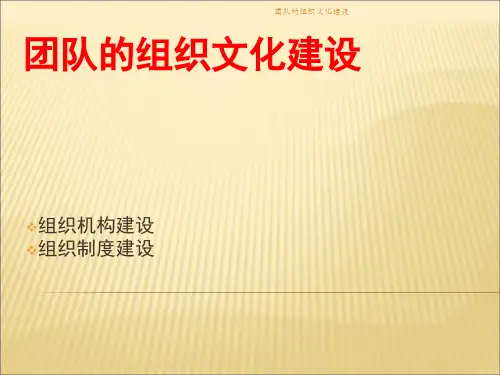 团队的组织文化建设 ppt课件