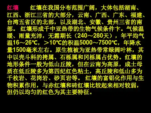红壤