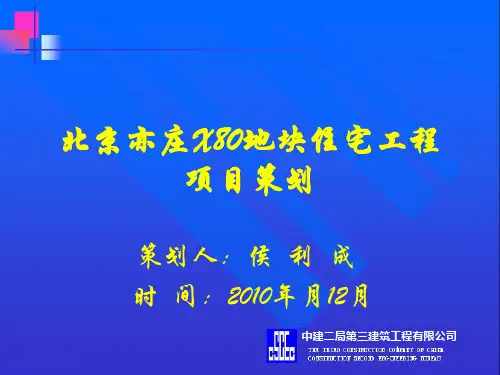 北京亦庄X80地块住宅工程项目策划演示文稿 