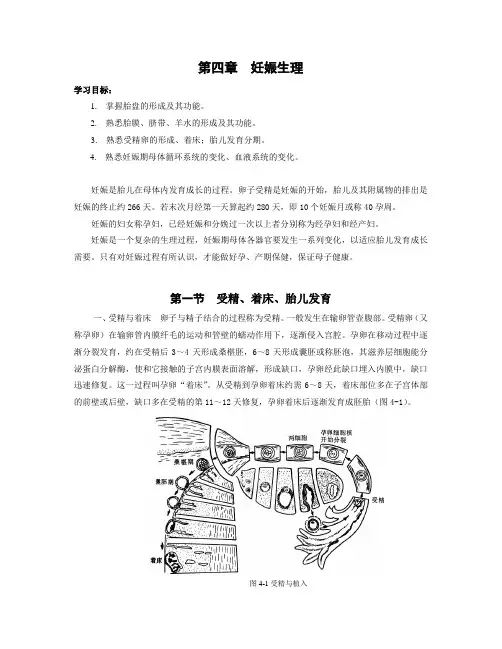 第四章  妊娠生理