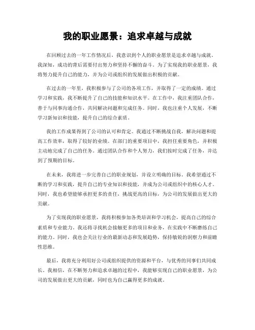 我的职业愿景：追求卓越与成就