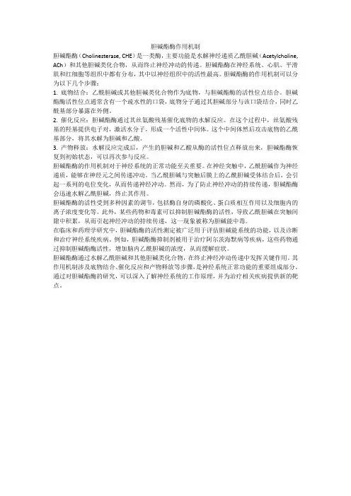 胆碱酯酶作用机制