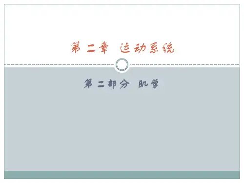 中职《人体解剖学》PPT第2章 运动系统(肌学)