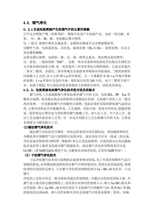 垃圾焚烧烟气净化