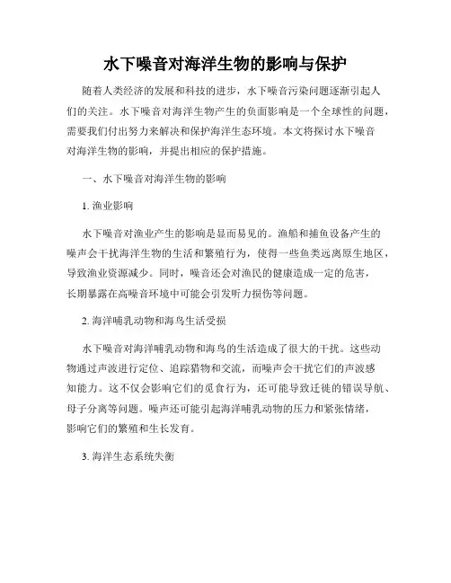 水下噪音对海洋生物的影响与保护