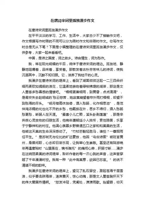在唐诗宋词里孤独漫步作文