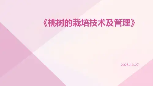 桃树的栽培技术及管理