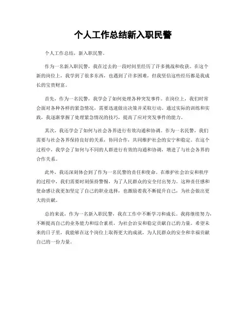 个人工作总结新入职民警