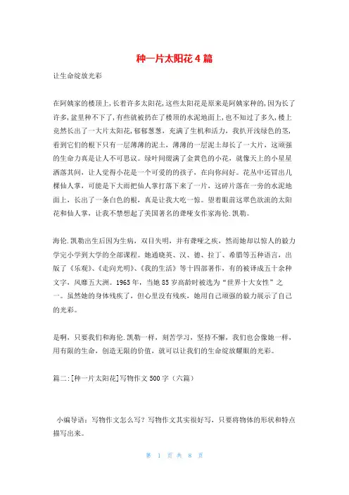 种一片太阳花4篇