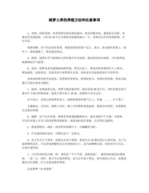 绿萝土养的养殖方法和注意事项