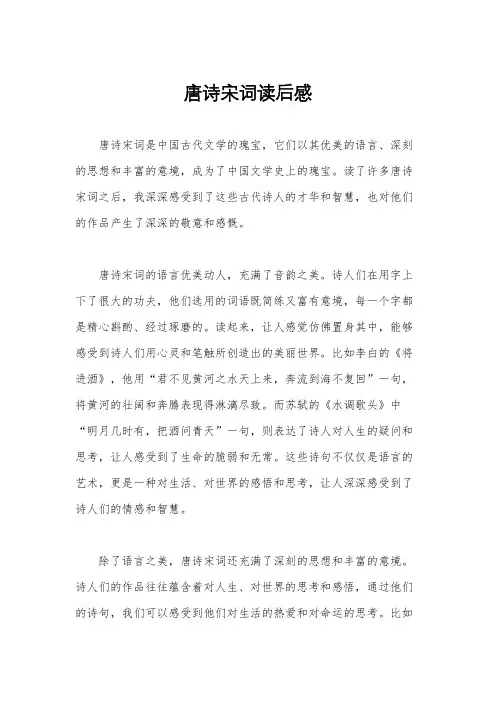 唐诗宋词读后感