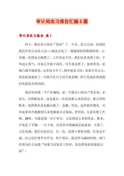【可编辑】审计局实习报告汇编5篇