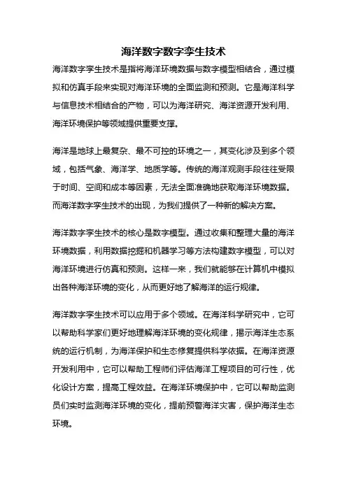 海洋数字数字孪生技术