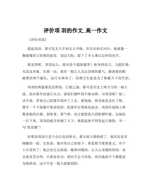 评价项 羽的作文_高一作文