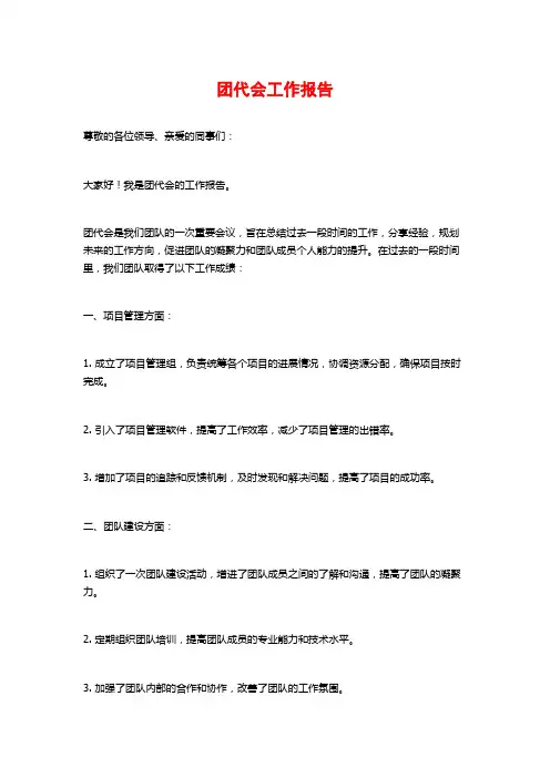 团代会工作报告