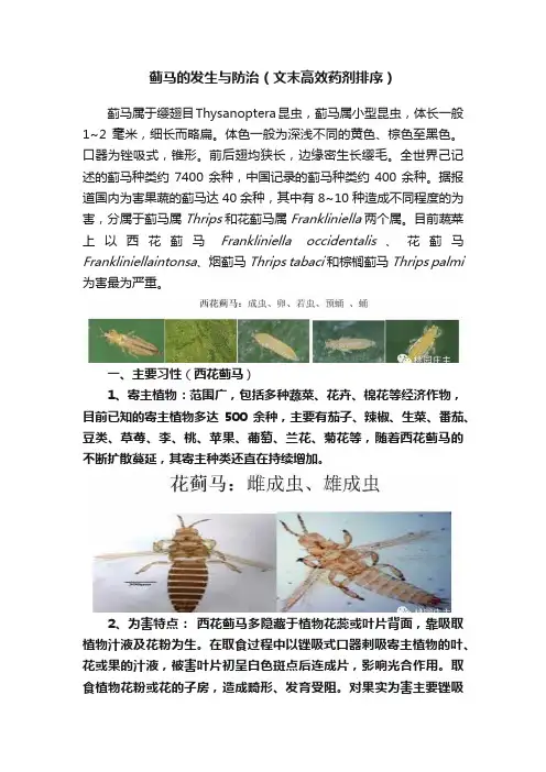 蓟马的发生与防治（文末高效药剂排序）