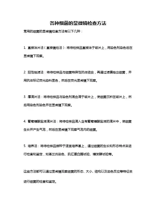 各种细菌的显微镜检查方法