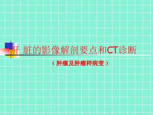 肝脏的影像解剖要点和CT诊断