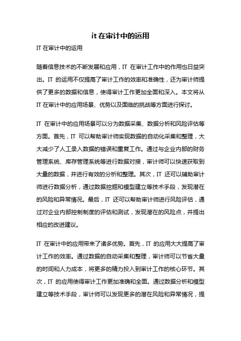 it在审计中的运用
