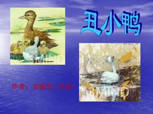 《丑小鸭》ppt课件