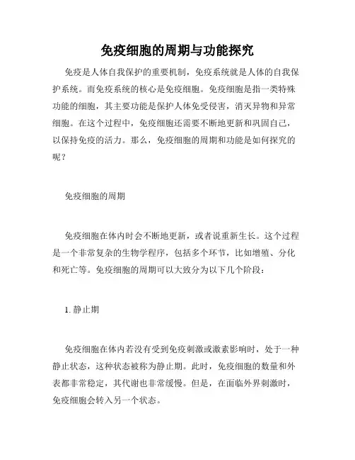 免疫细胞的周期与功能探究
