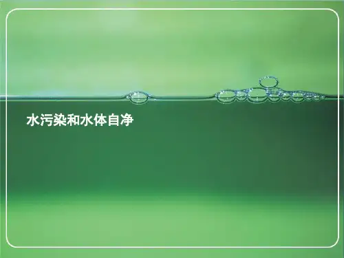 水污染和水体自净(课堂PPT)