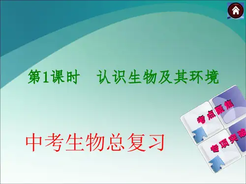 人教版生物中考总复习课件