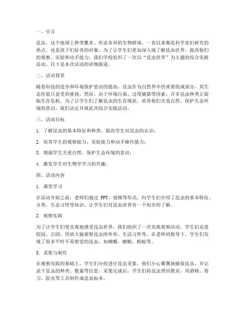 综合实践活动昆虫世界