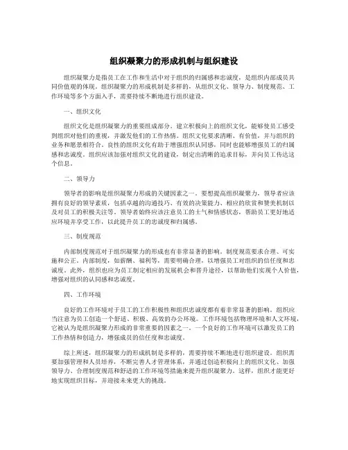 组织凝聚力的形成机制与组织建设