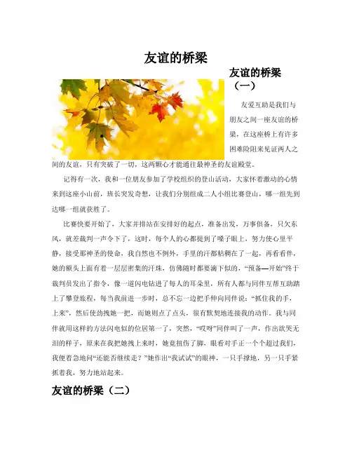 友谊的桥梁(共10篇)