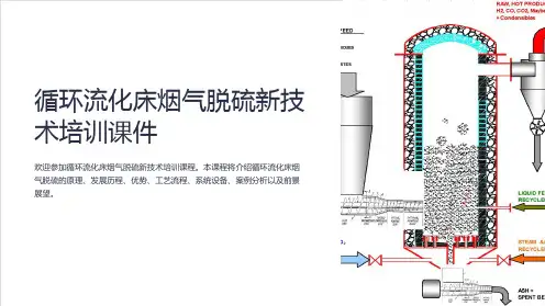 循环流化床烟气脱硫新技术培训课件