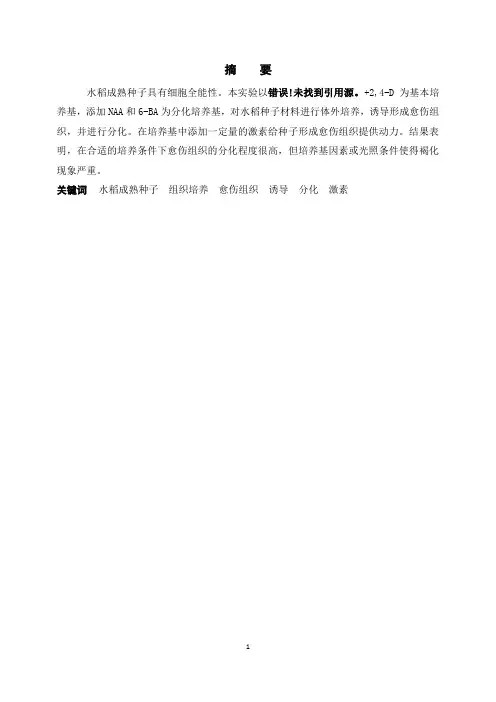 愈伤组织制作实验