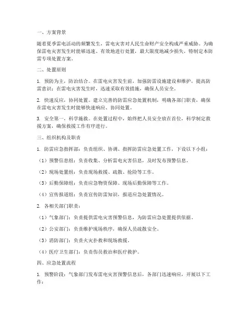 防雷专项处置方案