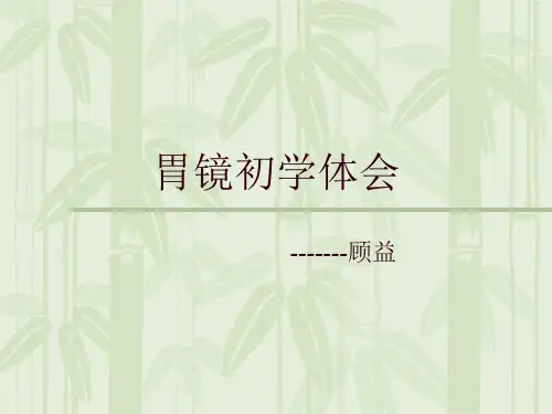 胃镜初学体会演示教学