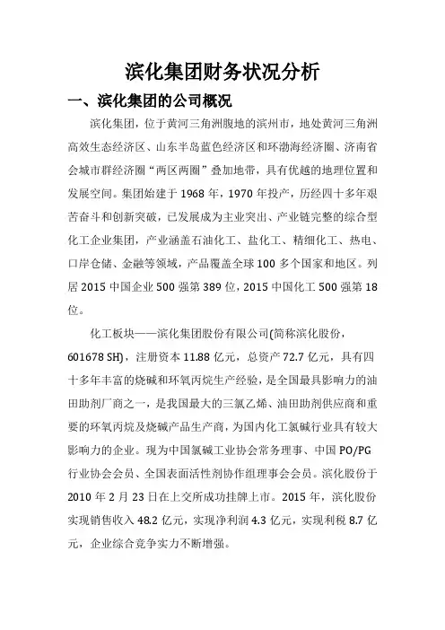 滨化集团战略分析