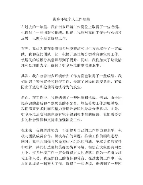 街乡环境个人工作总结