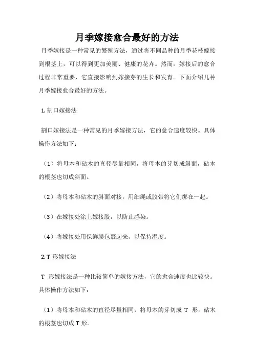 月季嫁接愈合最好的方法