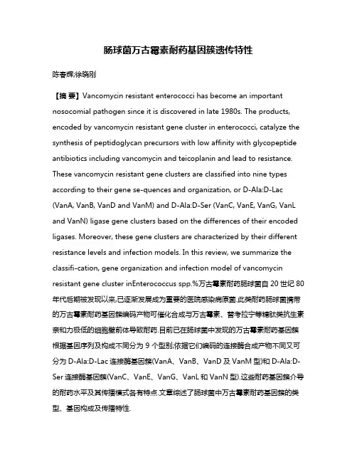 肠球菌万古霉素耐药基因簇遗传特性