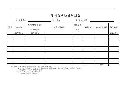 专利资助项目明细表【模板】