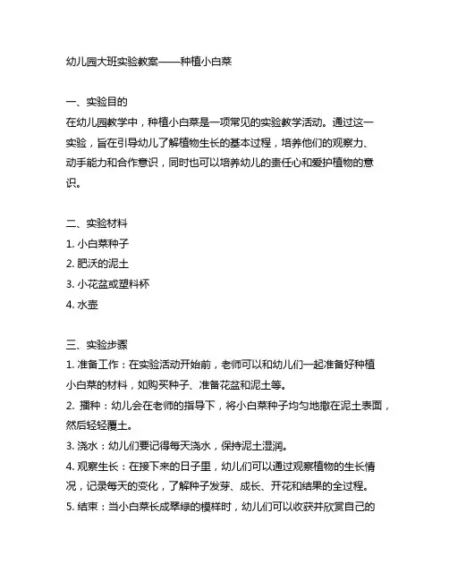 幼儿园大班实验教案——种植小白菜