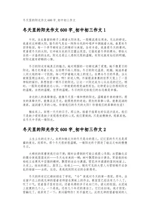 冬天里的阳光作文600字_初中初三作文
