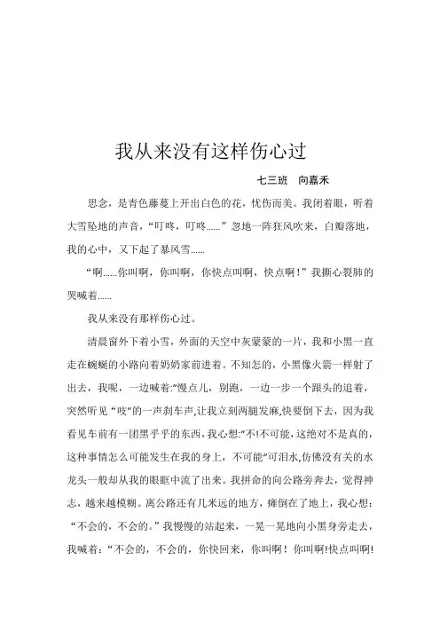 我从来没有这样伤心过